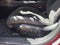2026 Dodge Charger R/T Plus